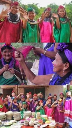Presentación de trabajos y Clausura del Diplomado Internacional “Litigación Estratégica en Derechos de Pueblos Indígenas y la Madre Naturaleza” 3 Foto4 Nota26 2025