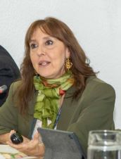 CAPACITACIÓN: INAGURACION E INICIO DEL DIPLOMADO INTERNACIONAL SOBRE “DERECHOS LINGUÍSTICOS Y RETOS DE LA TRADUCCIÓN/INTERPRETACIÓN EN LENGUAS INDÍGENAS DESDE UN ENFOQUE DESCOLONIZADOR” 1 Foto Fabiana